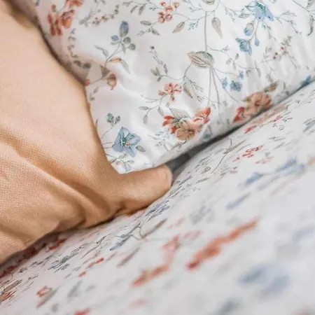 公寓 Arresi Deluxe 贝梅奥