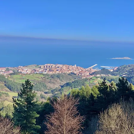 Arresi Deluxe Apartament Bermeo